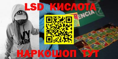 шишки Донской