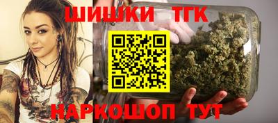 индика Гусиноозёрск