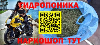 индика Гусиноозёрск