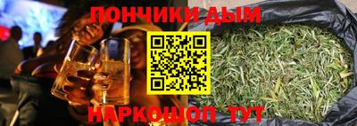 индика Гусиноозёрск