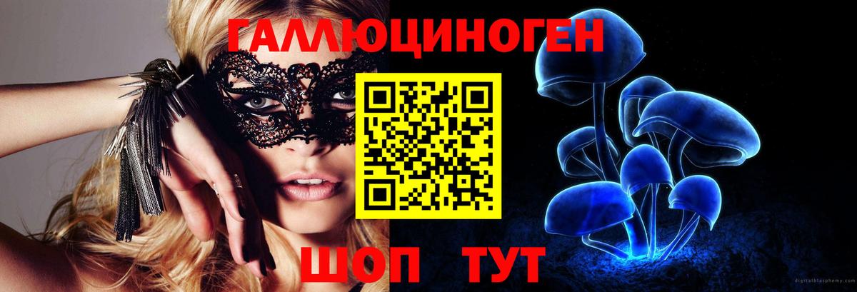 Галлюциногенные грибы Cubensis Ипатово