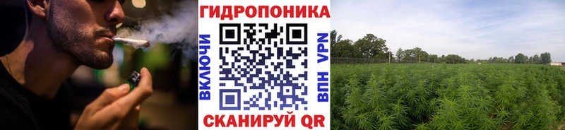купить наркоту  Ипатово  omg онион  Бошки Шишки VHQ 